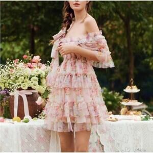 LAIT Collection NWOT Beatrice floral ruffle tulle mini dress Size XS